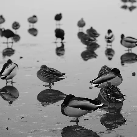 Apartment Müritz-brise Waren (Müritz)